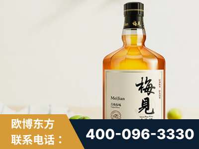 运城-梅见青梅酒
